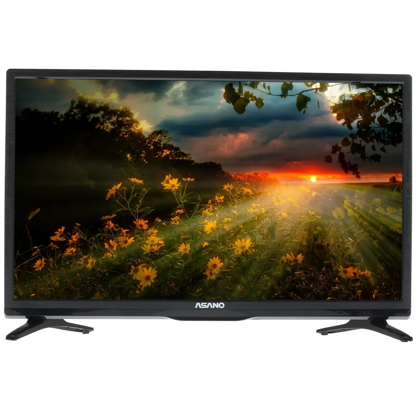 Телевизор Asano 24LH1010T