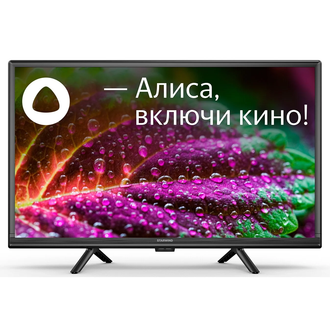 Телевизор Starwind SW-LED24SG304 черный/черный