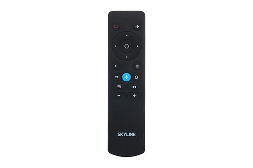 43" (108 см) Телевизор Skyline 43LST6575 черный