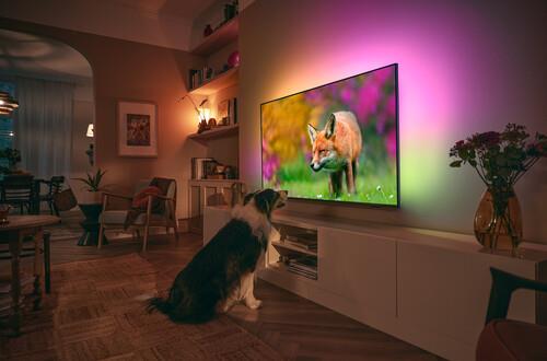 55" (139 см) Телевизор Philips 55PUS8519/60 серебристый